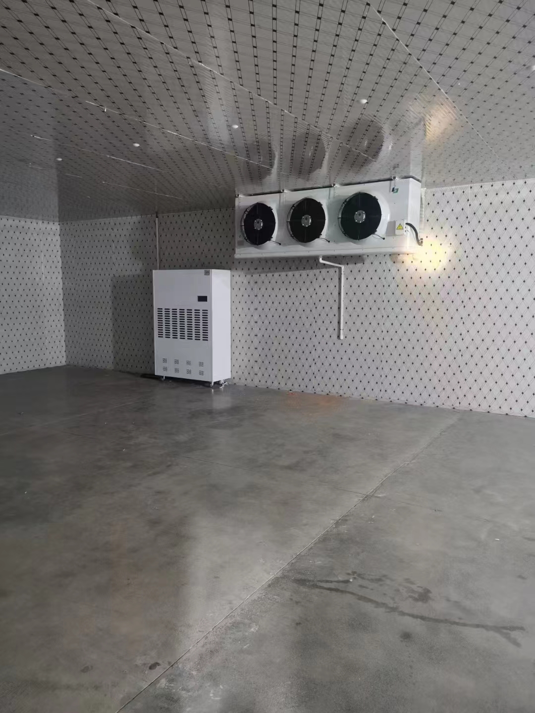 冷庫(kù)設(shè)計(jì)/銷(xiāo)售/安裝現(xiàn)場(chǎng)